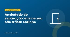 Arte azul com ilustração de porta e o título Ansiedade de separação