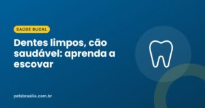 Arte azul com ilustração de dente e o título sobre escovação dos dentes do cão