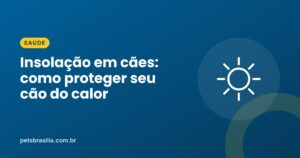Arte azul com ilustração de sol e o título Insolação em cães
