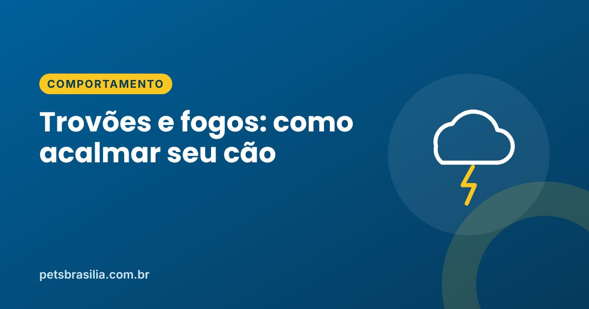 Arte azul com ilustração de nuvem e raio e o título sobre medo de trovão