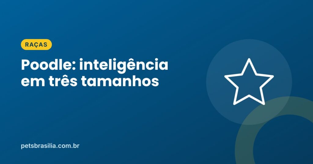 Arte azul com ilustração de estrela e o título Poodle