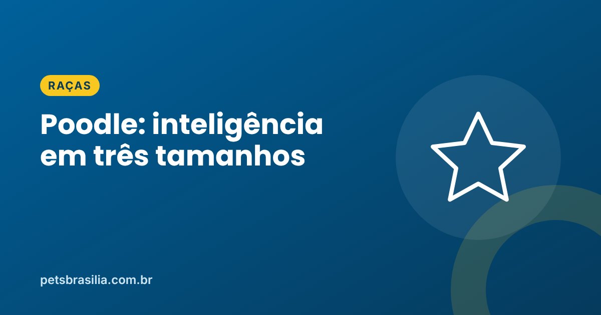 Arte azul com ilustração de estrela e o título Poodle