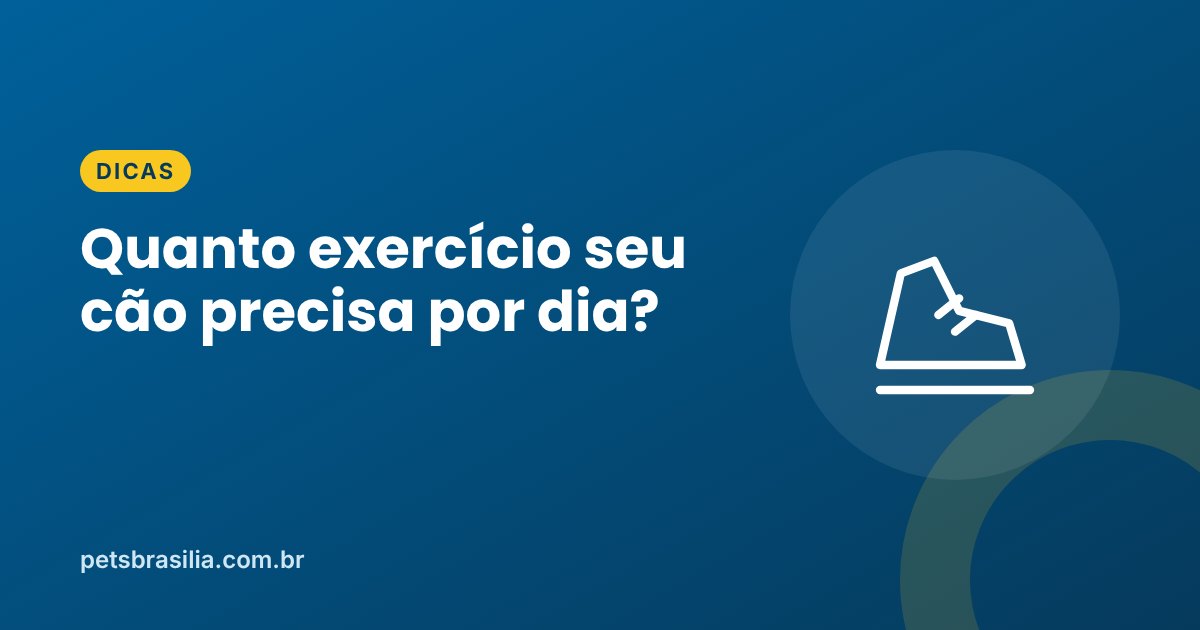 Arte azul com ilustração de tênis e o título sobre exercício para cães