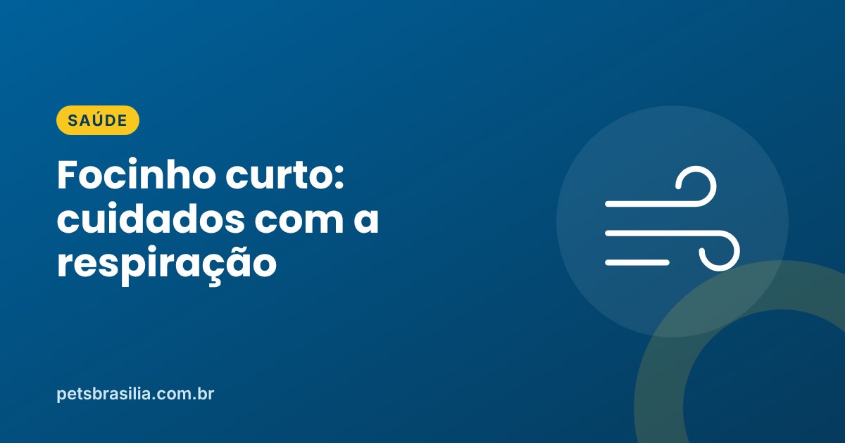 Arte azul com ilustração de ar e o título sobre raças braquicefálicas