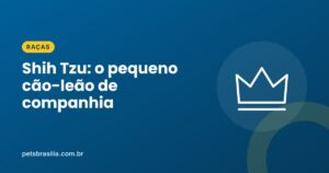 Arte azul com ilustração de coroa e o título Shih Tzu