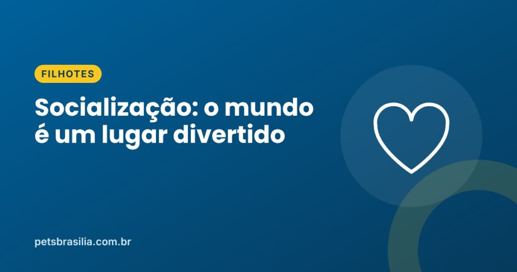 Arte azul com ilustração de coração e o título sobre socialização de filhotes