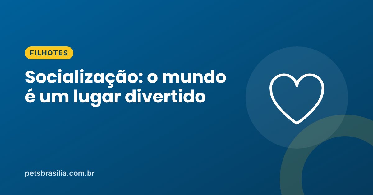 Arte azul com ilustração de coração e o título sobre socialização de filhotes